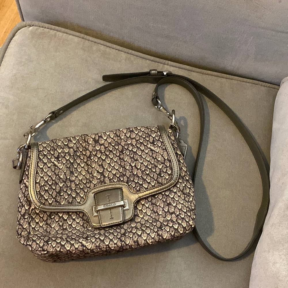Coach snakeskin crossbody (medium)